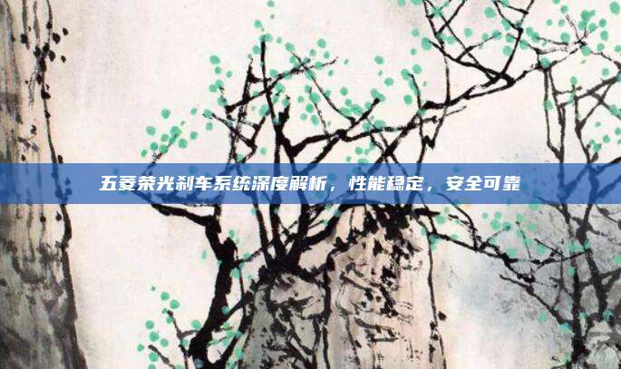 五菱荣光刹车系统深度解析，性能稳定，安全可靠