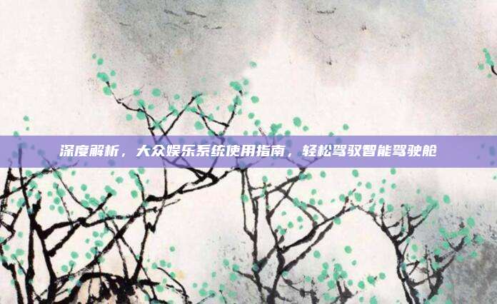 深度解析，大众娱乐系统使用指南，轻松驾驭智能驾驶舱