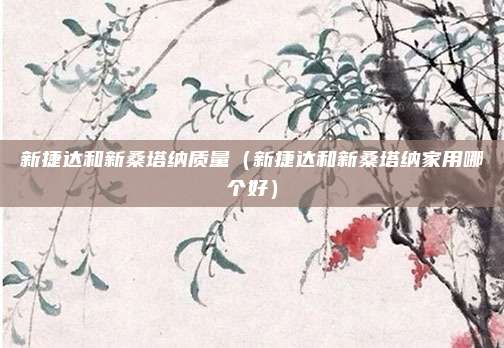 新捷达和新桑塔纳质量(新捷达和新桑塔纳家用哪个好)