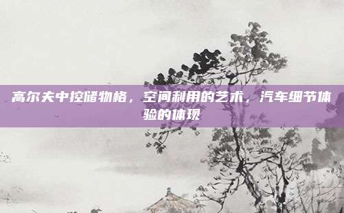 高尔夫中控储物格，空间利用的艺术，汽车细节体验的体现