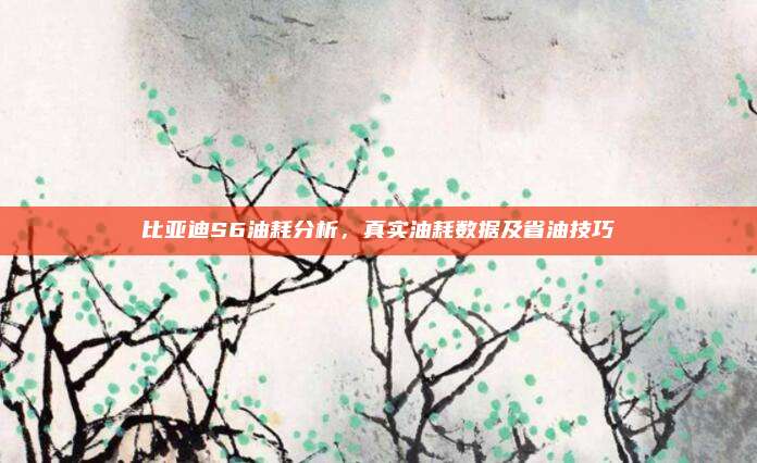 比亚迪S6油耗分析，真实油耗数据及省油技巧