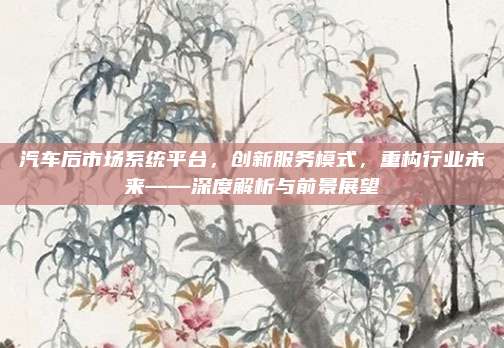 汽车后市场系统平台，创新服务模式，重构行业未来——深度解析与前景展望