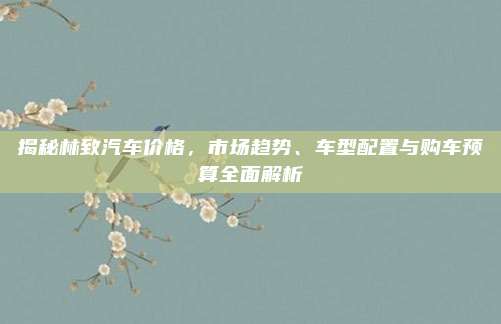 揭秘林致汽车价格，市场趋势、车型配置与购车预算全面解析