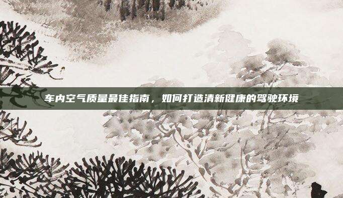 车内空气质量最佳指南，如何打造清新健康的驾驶环境