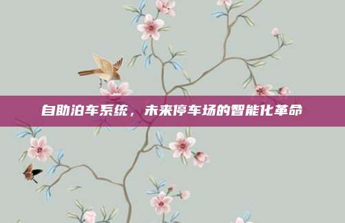 自助泊车系统，未来停车场的智能化革命