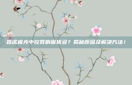 路虎极光中控异响困扰多？揭秘原因及解决方法！
