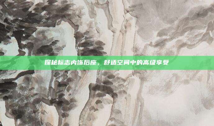 探秘标志内饰后座，舒适空间中的高级享受