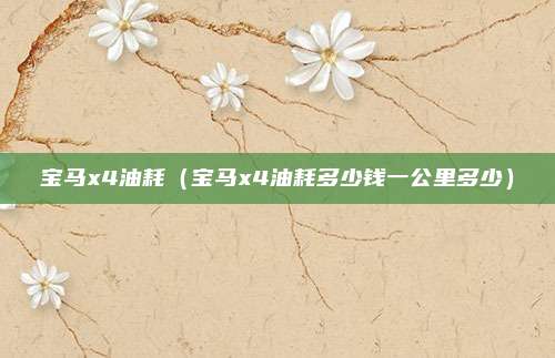 宝马x4油耗（宝马x4油耗多少钱一公里多少）