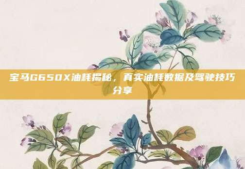 宝马G650X油耗揭秘，真实油耗数据及驾驶技巧分享