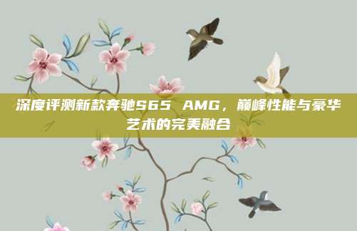 深度评测新款奔驰S65 AMG，巅峰性能与豪华艺术的完美融合