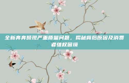全新奔奔频现严重质量问题，揭秘背后原因及消费者维权困境
