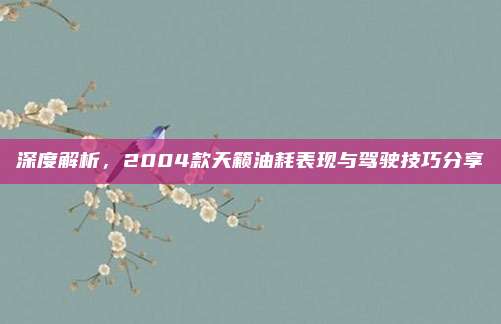 深度解析,2004款天籁油耗表现与驾驶技巧分享