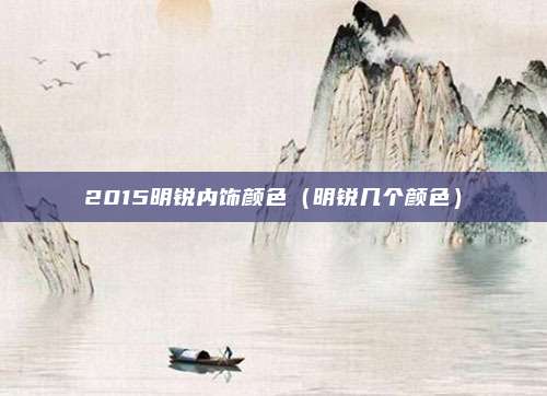 2015明锐内饰颜色（明锐几个颜色）