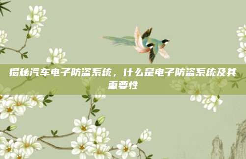 揭秘汽车电子防盗系统,什么是电子防盗系统及其重要性