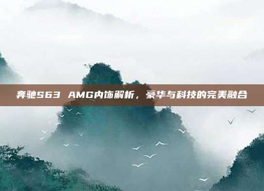 奔驰S63 AMG内饰解析，豪华与科技的完美融合