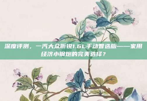 深度评测，一汽大众昕锐1.6L手动智选版——家用经济小钢炮的完美选择？