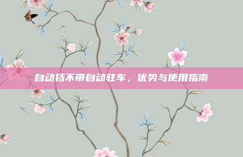 自动挡不带自动驻车，优势与使用指南