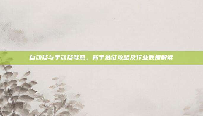 自动挡与手动挡驾照，新手选证攻略及行业数据解读