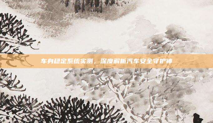 车身稳定系统实测，深度解析汽车安全守护神
