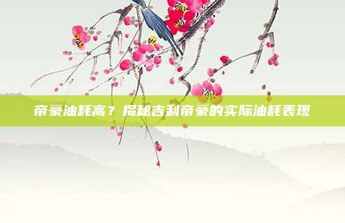 帝豪油耗高？揭秘吉利帝豪的实际油耗表现