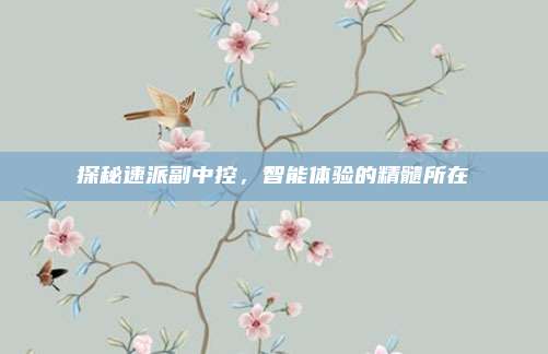 探秘速派副中控，智能体验的精髓所在