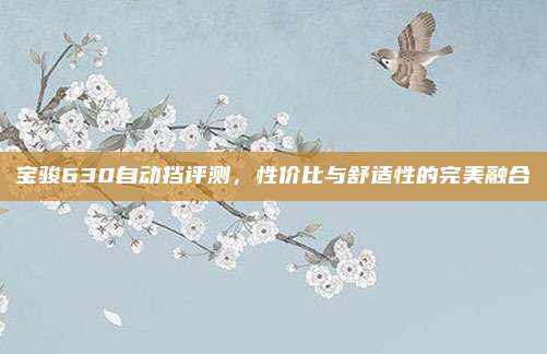 宝骏630自动挡评测，性价比与舒适性的完美融合