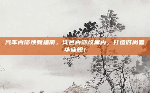 汽车内饰焕新指南,浅色内饰改黑内,打造时尚奢华座舱!