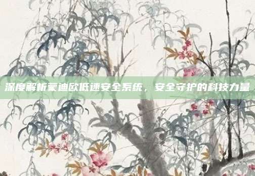 深度解析蒙迪欧低速安全系统，安全守护的科技力量