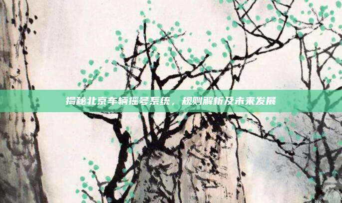 揭秘北京车辆摇号系统，规则解析及未来发展