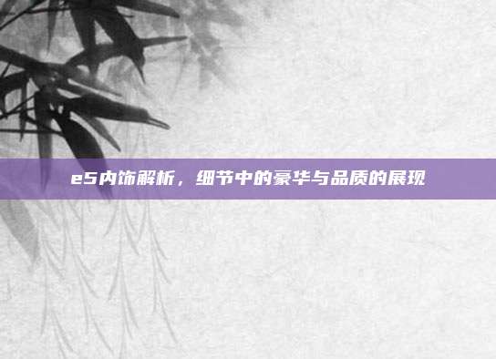 e5内饰解析，细节中的豪华与品质的展现