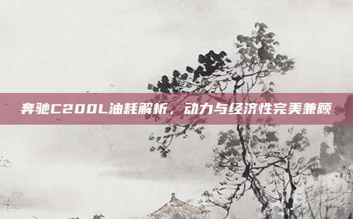 奔驰C200L油耗解析，动力与经济性完美兼顾