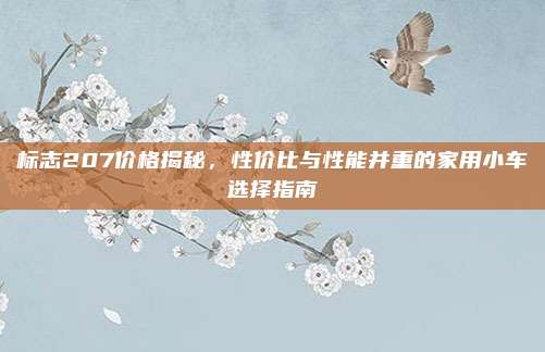 标志207价格揭秘，性价比与性能并重的家用小车选择指南