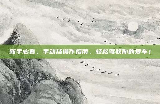 新手必看，手动挡操作指南，轻松驾驭你的爱车！