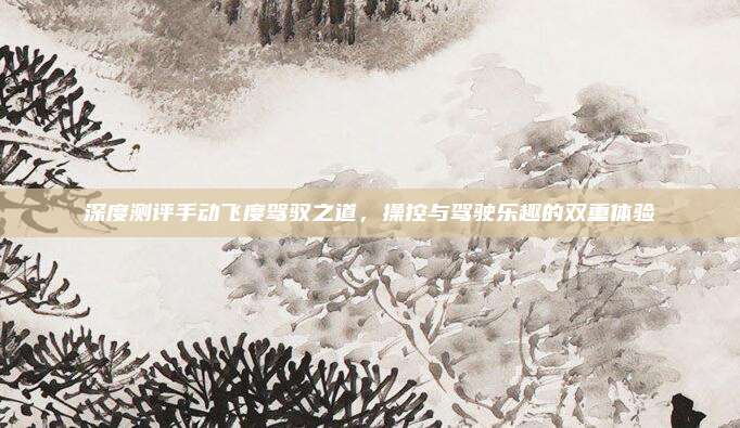 深度测评手动飞度驾驭之道，操控与驾驶乐趣的双重体验