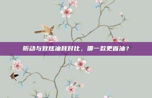 昕动与致炫油耗对比，哪一款更省油？