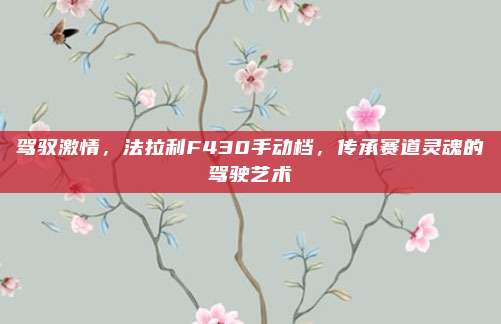 驾驭激情，法拉利F430手动档，传承赛道灵魂的驾驶艺术