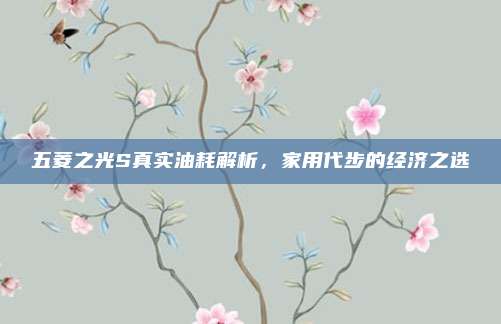 五菱之光S真实油耗解析,家用代步的经济之选