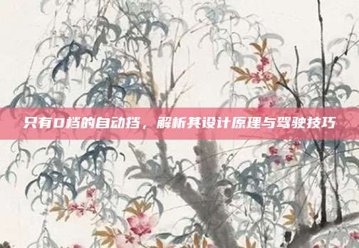 只有D档的自动挡，解析其设计原理与驾驶技巧