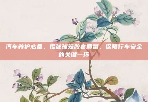 汽车养护必备，揭秘球笼胶套质量，保障行车安全的关键一环