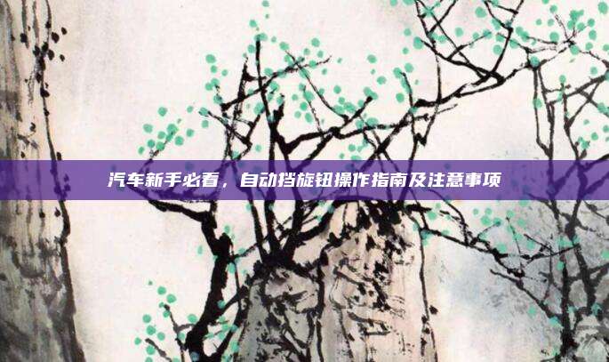 汽车新手必看,自动挡旋钮操作指南及注意事项