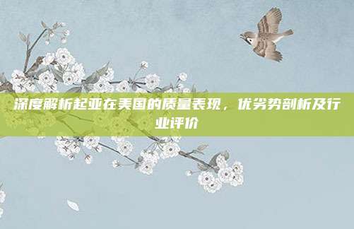 深度解析起亚在美国的质量表现，优劣势剖析及行业评价