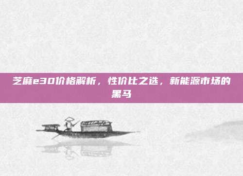 芝麻e30价格解析，性价比之选，新能源市场的黑马