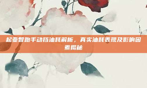 起亚智跑手动挡油耗解析，真实油耗表现及影响因素揭秘