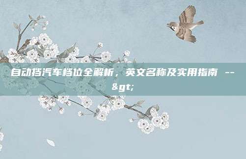 自动挡汽车档位全解析，英文名称及实用指南 -->