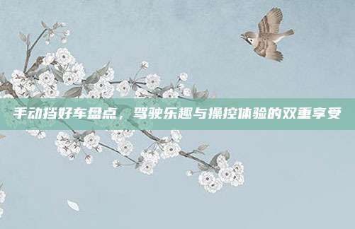 手动挡好车盘点，驾驶乐趣与操控体验的双重享受