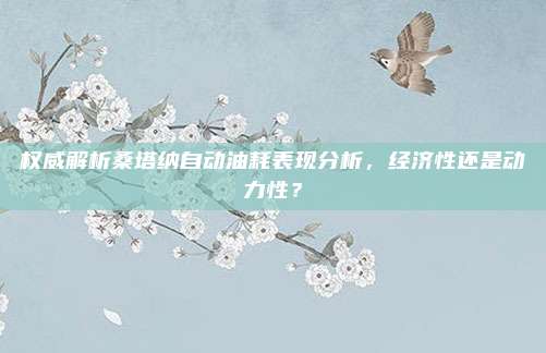 权威解析桑塔纳自动油耗表现分析，经济性还是动力性？