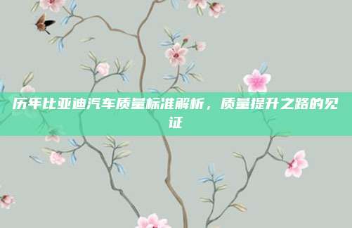 历年比亚迪汽车质量标准解析，质量提升之路的见证