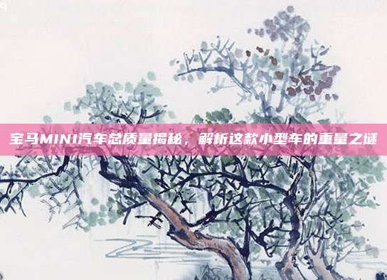 宝马MINI汽车总质量揭秘，解析这款小型车的重量之谜