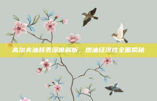 高尔夫油耗表深度解析，燃油经济性全面揭秘