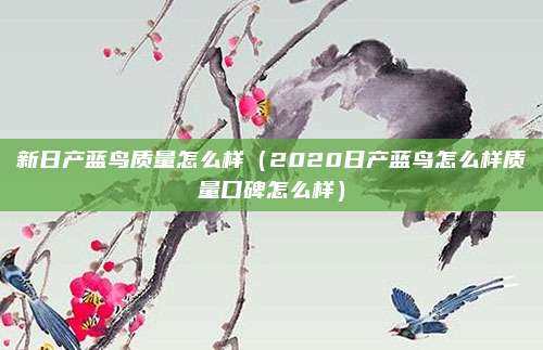 新日产蓝鸟质量怎么样(2020日产蓝鸟怎么样质量口碑怎么样)